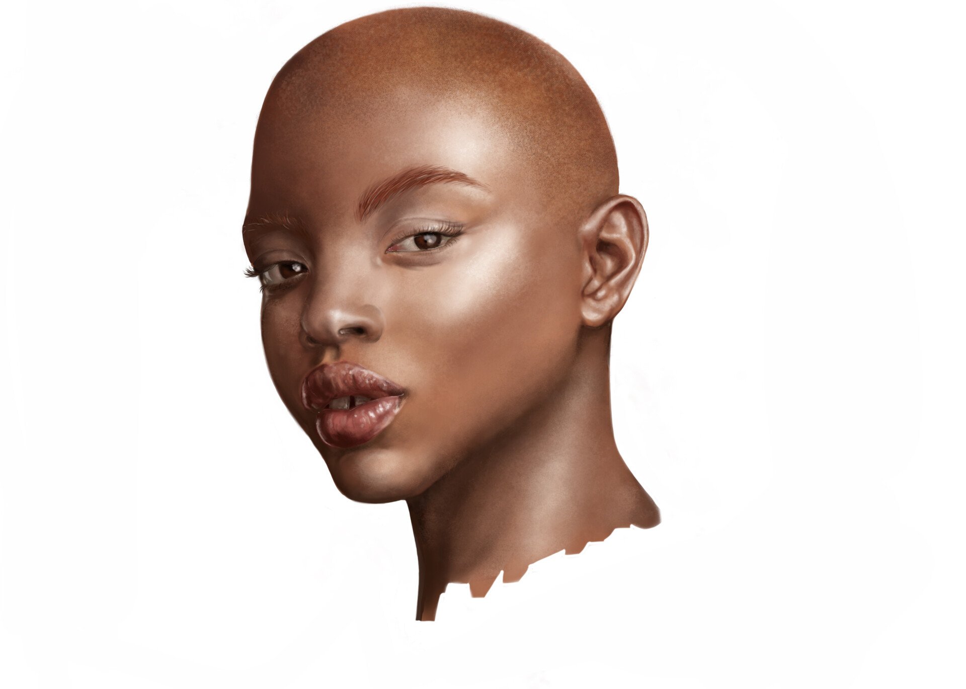 Illustrazione – Portrait